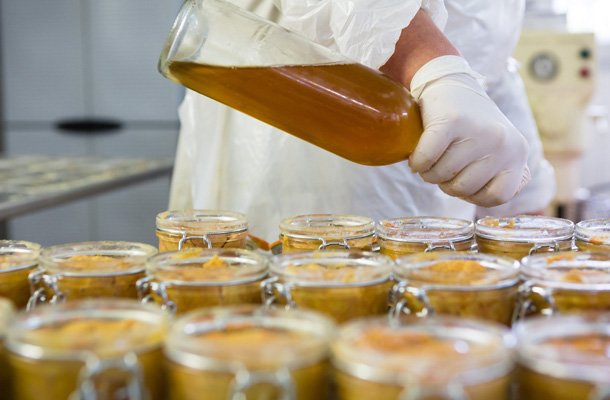 Bocaux de foie gras des artisans conserveurs, en préparation Bocaux de foie gras des artisans conserveurs, en préparation